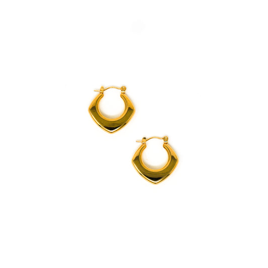 RUBY earrings